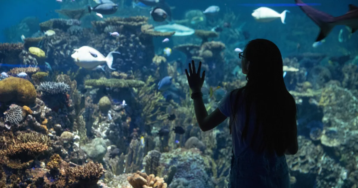 baltimore aquarium tickets