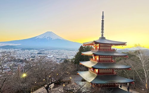 Best Cultural Tours in Tokyo for Couples