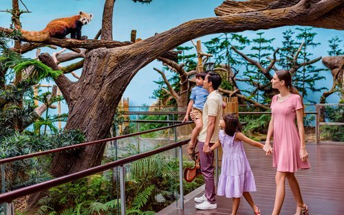 Best Family Activities in Singapore at Mandai Wildlife Reserve