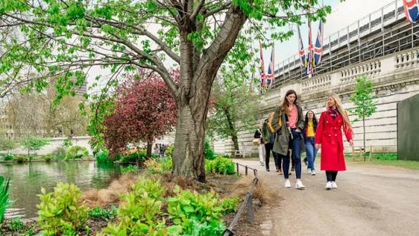 Best Royal Walking Tours in London