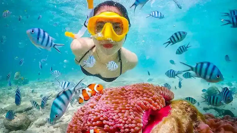 Best Snorkelling Tours in Thailand