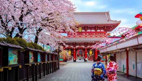 Best Walking Tours in Asakusa