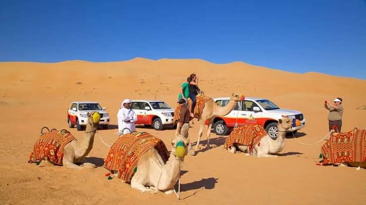 Types of Desert Safari Tours in Dubai